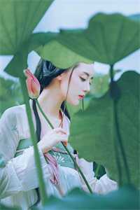 棠花落尽不相逢推荐