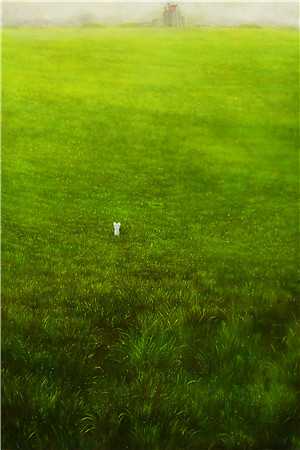 深情散尽难寻阅读