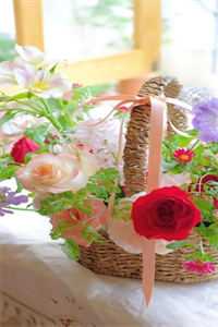 听澜爱尽与卿绝最新章节