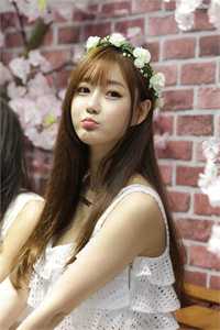 海棠开尽再无君全文+免费