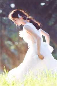 晚星陨落再无夏爆火全网