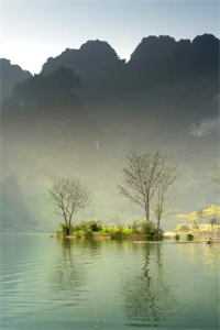 夫君被断腿后，我摇魔丸爹娘杀疯了结局