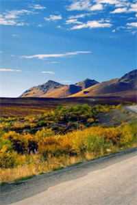 回到我妈身边后，四个爸爸悔疯了列表