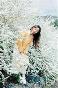 送我春风如梦醒人气小说