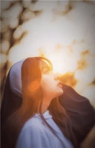 月落辞归衍异常火爆