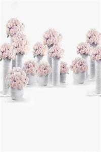 秋去晚伤时免费阅读全文