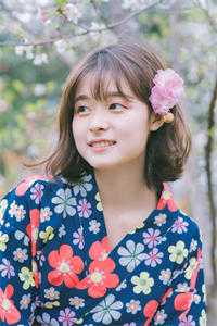 旧风未散的夏天全文阅读最新