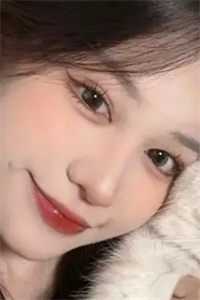 你的星光我的归期爽文