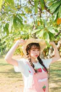 风掠长街花辞树精选