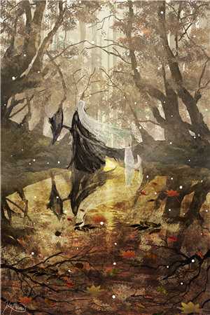 我摘星辰缀她衣无删版