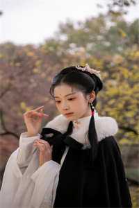 兰因絮果终成雪篇章