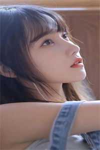 北城旧梦扰清风的小说