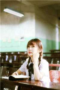 兰因絮果终成雪章节