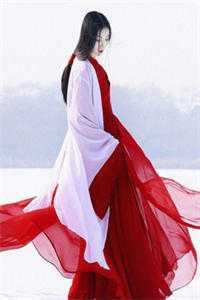 她曾把光藏入怀全新