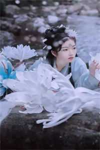 无言独倚高楼全球完整文集