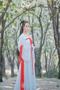 落在人间的弧光爆款热文