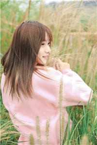 清风离朝，不慕挽歌全文免费阅读