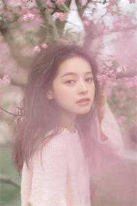 从此候鸟无归期by