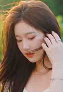 飞雁渡春秋几重林织夏池砚舟全文免费