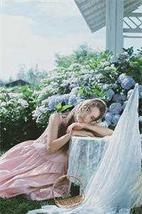 十里红妆入梦来完结