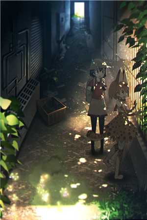 许我人间白头霜林予霜齐宴许小说