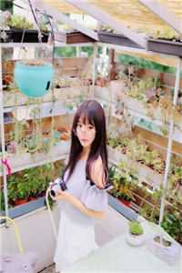 清风离朝，不慕挽歌未删节