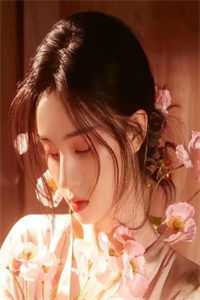 旧爱沉舟不可渡目录