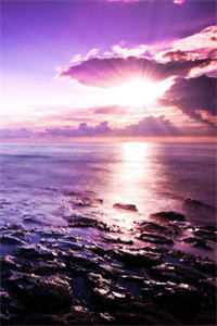 我摘星辰缀她衣火爆小说