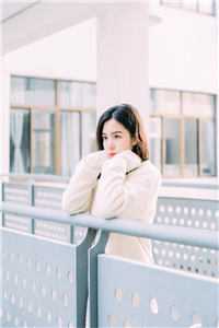 长阶雪覆玉京春免费看