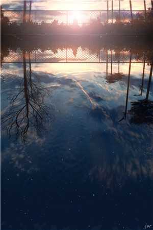 行道迟迟终有归热门小说