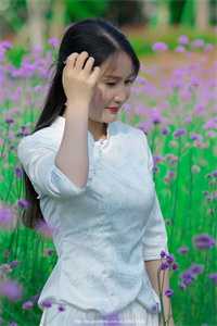 十年春诉情肠断全文无删减