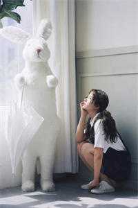 江南秋落知几许全章节阅读