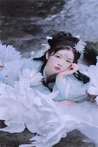 星河潋滟了夜色最新