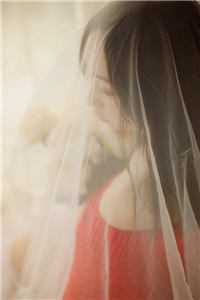 岁暮星沉爱已迟完结版