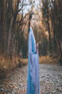 出宫不成，反成了陛下的心尖宠热门