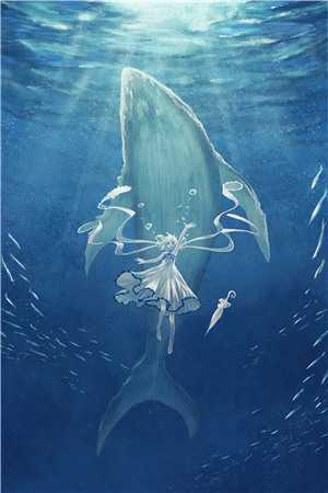 许我耀眼人世间后续+完结